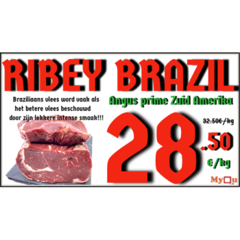 resized_ribey_brazil_500x500