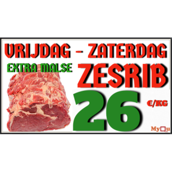 resized_zesrib_500x500