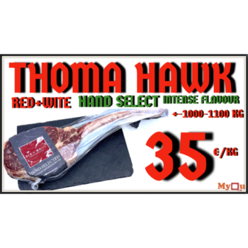 20531 THOMA HAWK POLEN WEB 2025_500x500