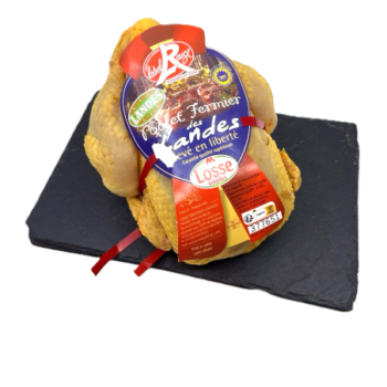 NIEUWE PRODUCTEN IN DE KIJKER SEIZOENS GEBONDEN